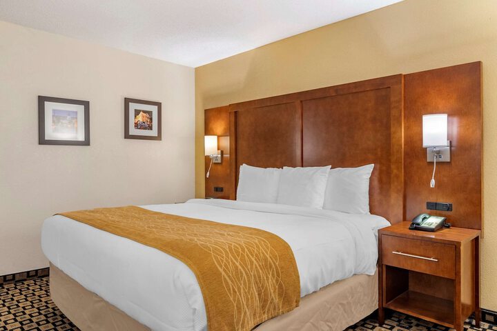 1 King Bed (6 of 18)