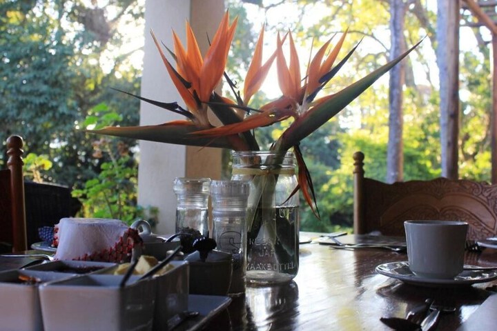 Dining 42 of 56
