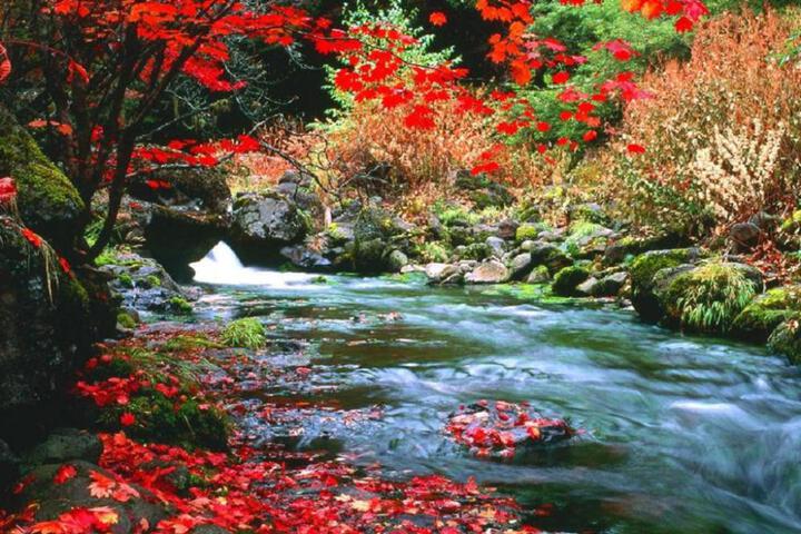 Spa and Wellness Pictures