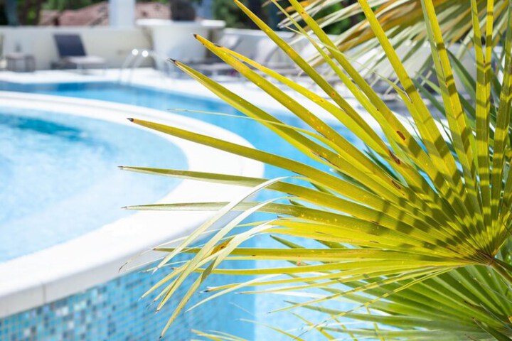 Pool 86 of 119