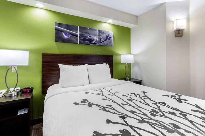 Standard | King Bed (15 of 16)