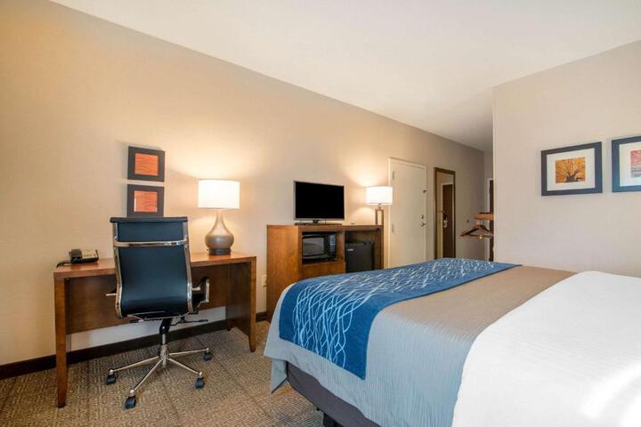 Standard Room, King or Two Doubles (6 of 8)