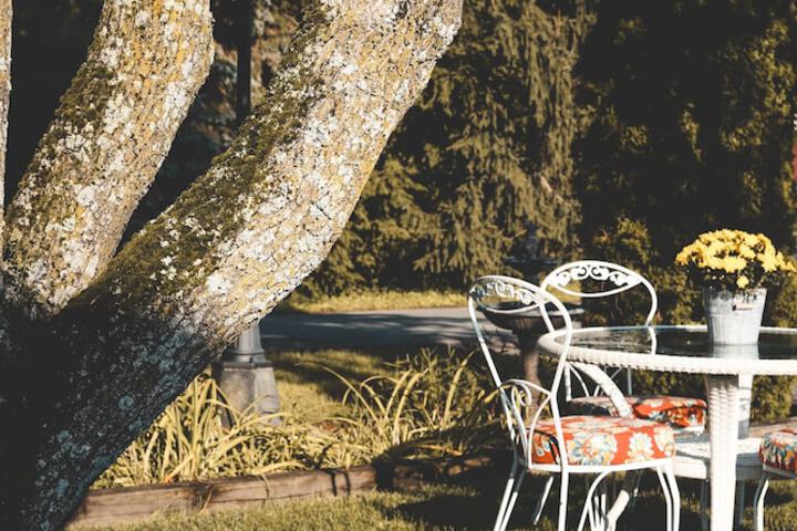 Property Grounds 27 of 36