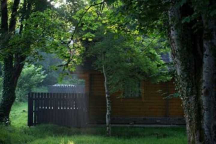 Property Grounds 48 of 60