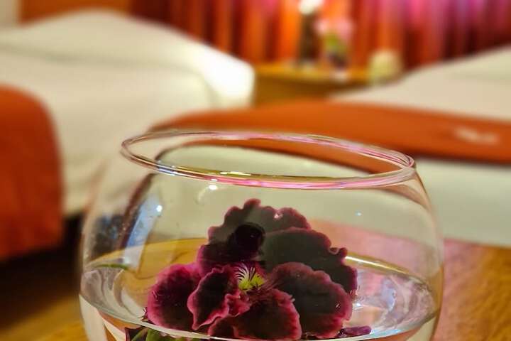 Hotel 62 of 67