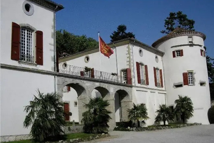 Image of CHATEAU DAIGUEFONDE