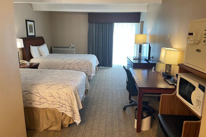 Double Accessible King Size Bed (1 of 24)