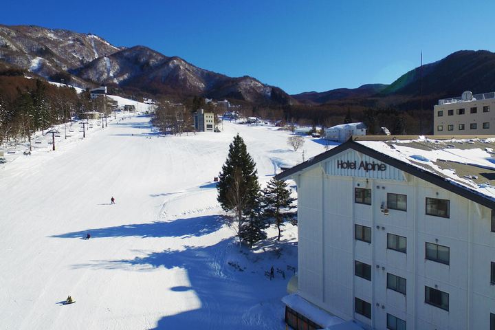 Hotel Alpine