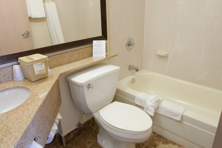 1 King Bed Accessible (15 of 18)