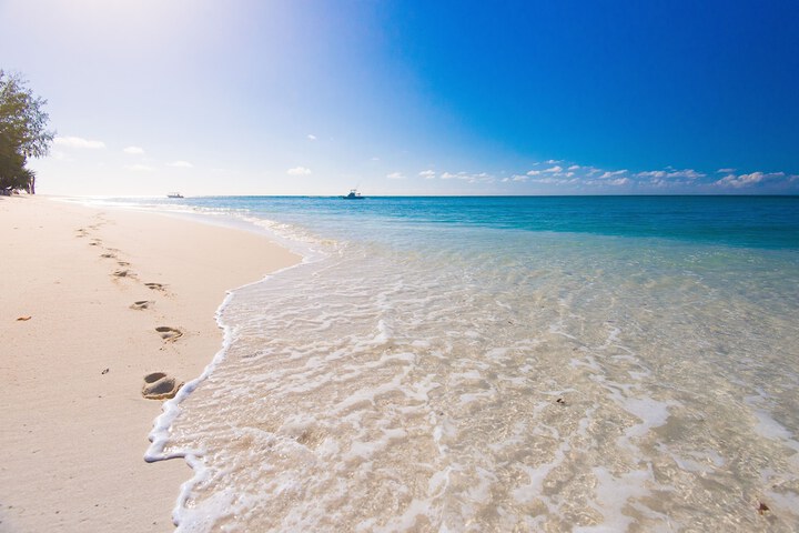 Beach 74 of 97