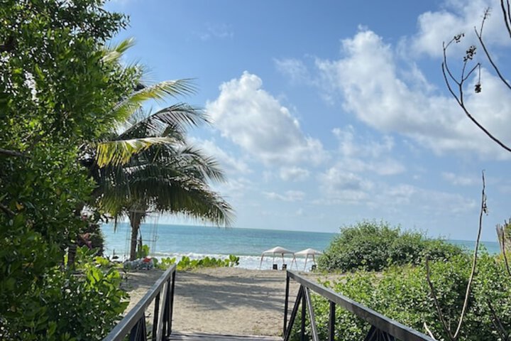 Beach 37 of 38