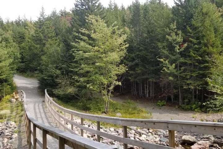 Ecotours