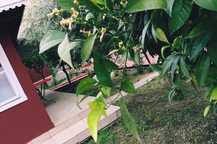 Hotel 6 of 21