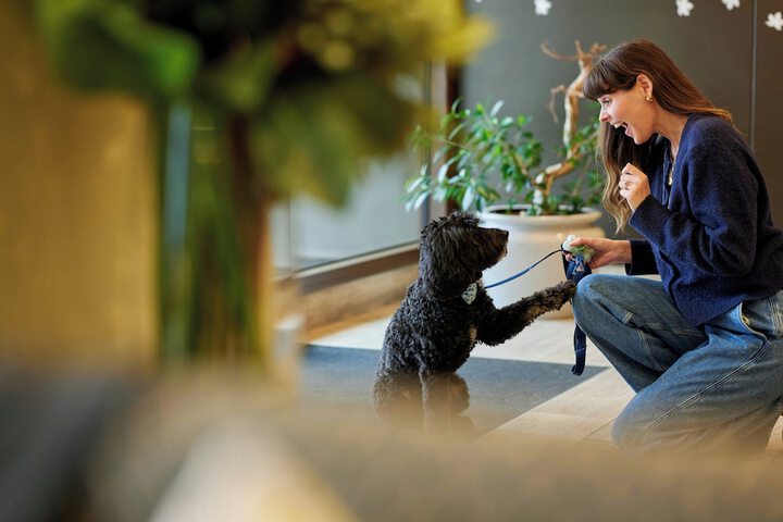 Pet Friendly 44 of 89