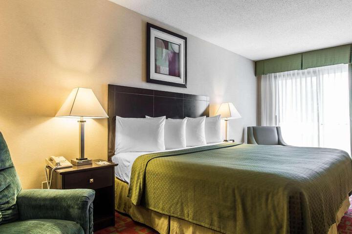 1 King Bed (7 of 10)