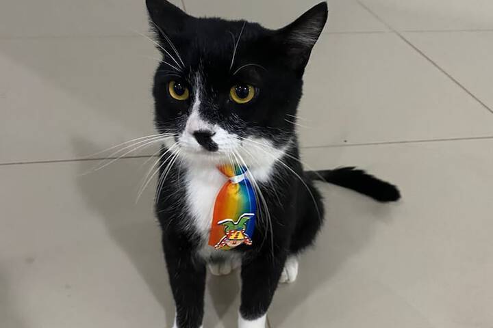 Pet Friendly 52 of 125