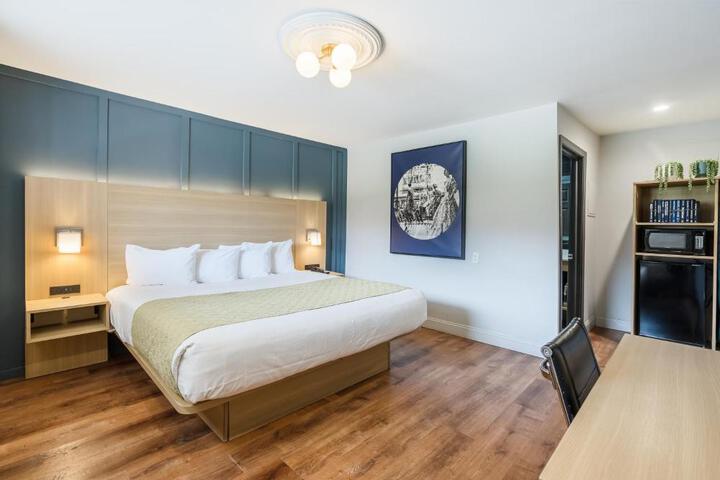 Standard | King Bed (3 of 14)