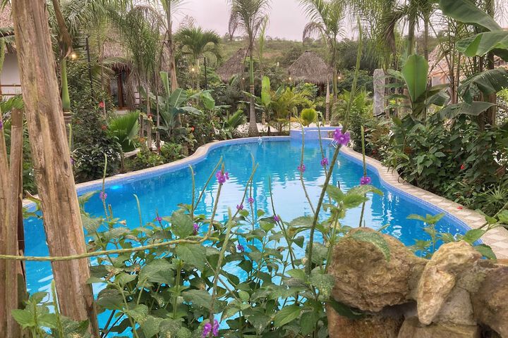 Photo of Hotel La Costa International