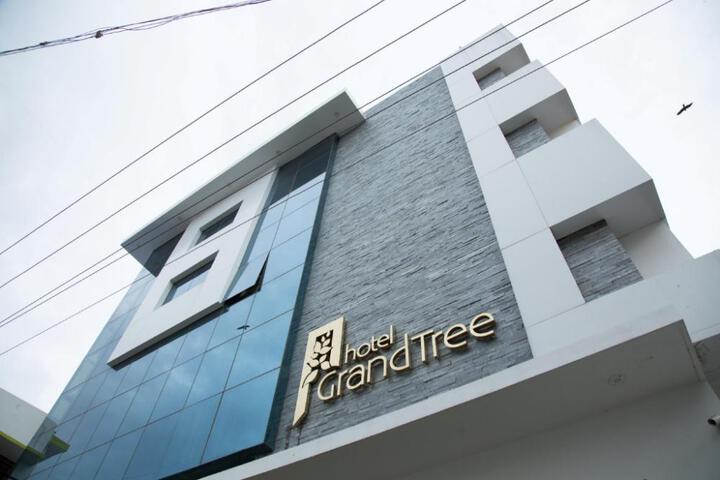 Hotel Grand Tree