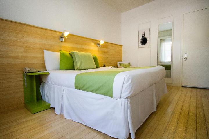 Standard Double Room (1 of 2)