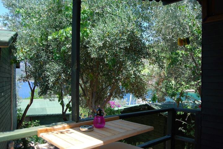 Terrace/Patio 22 of 52