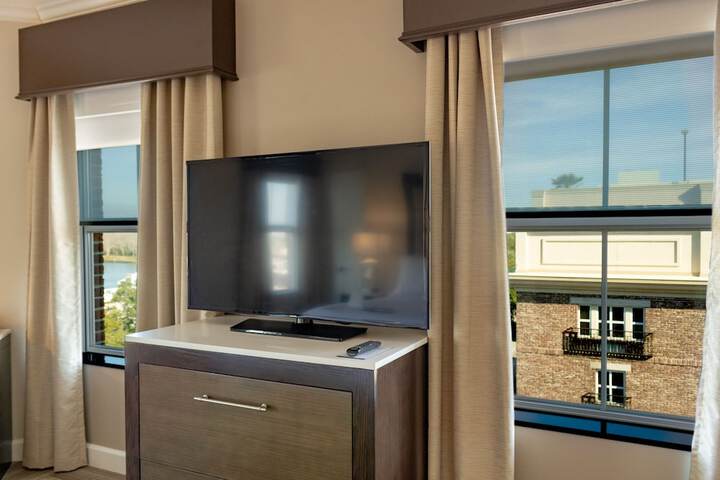 Television