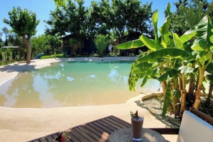 Pool 66 of 91