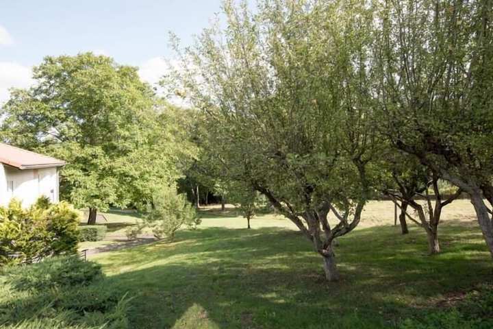 Property Grounds 16 of 29