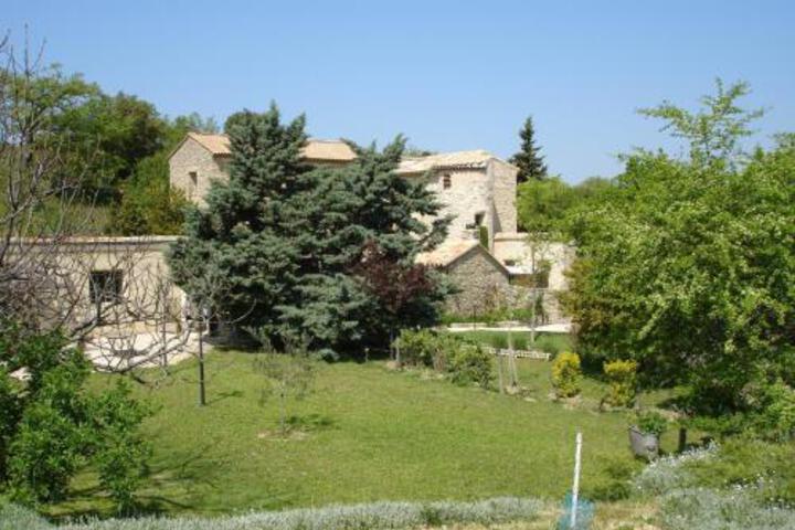Photo 10