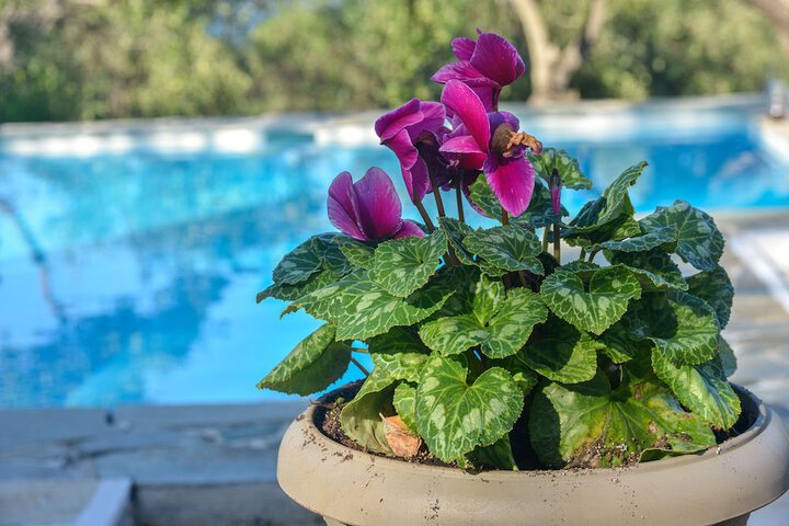 Pool 125 of 158