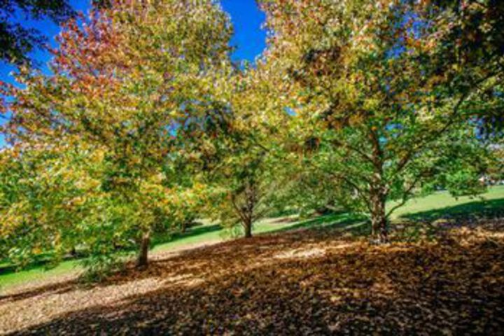 Hotel Exterior 11 of 25