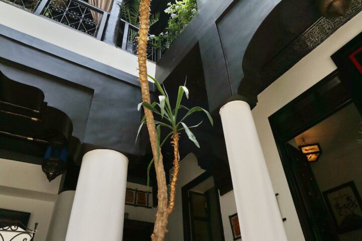 Hotel Exterior 101 of 113