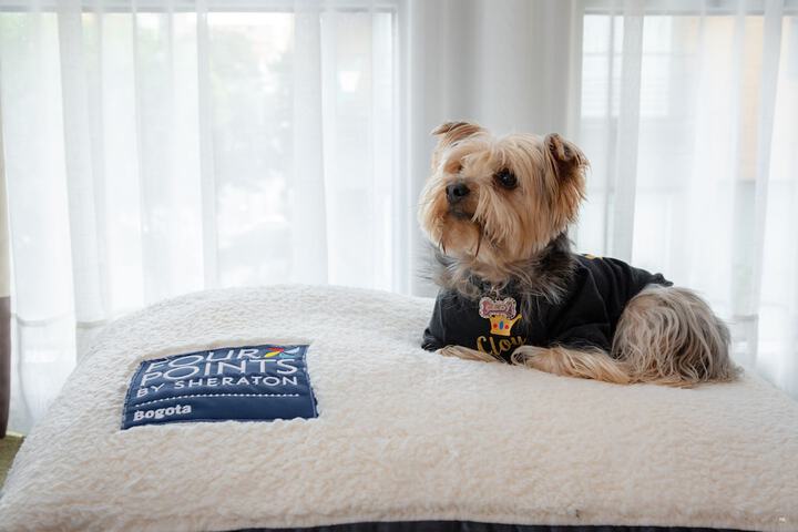 Pet Friendly 28 of 55