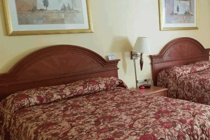 Room 3 of 3