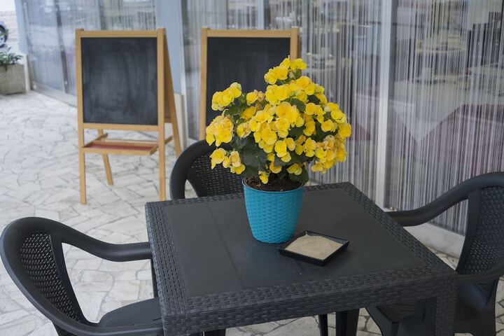 Terrace/Patio 11 of 11