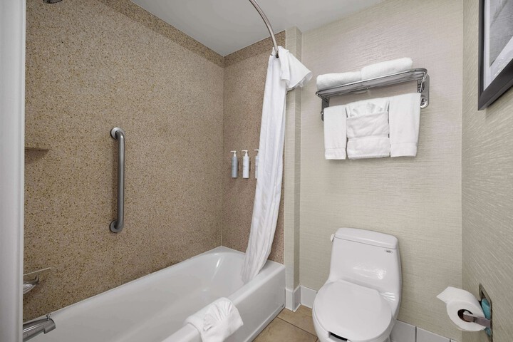 1 King Bed Studio Suite (9 of 21)