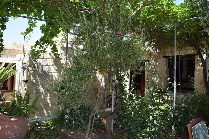 Property Grounds 19 of 39