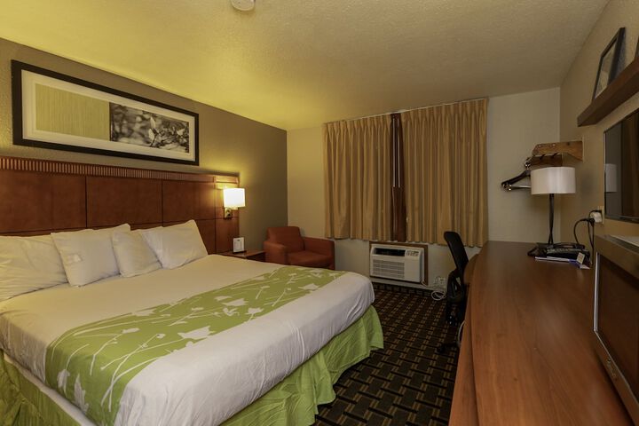 1 King Bed (2 of 4)