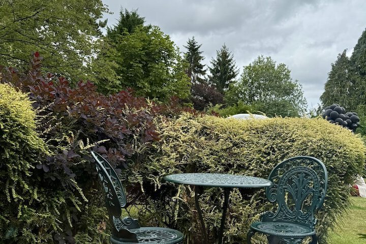Terrace/Patio 82 of 95