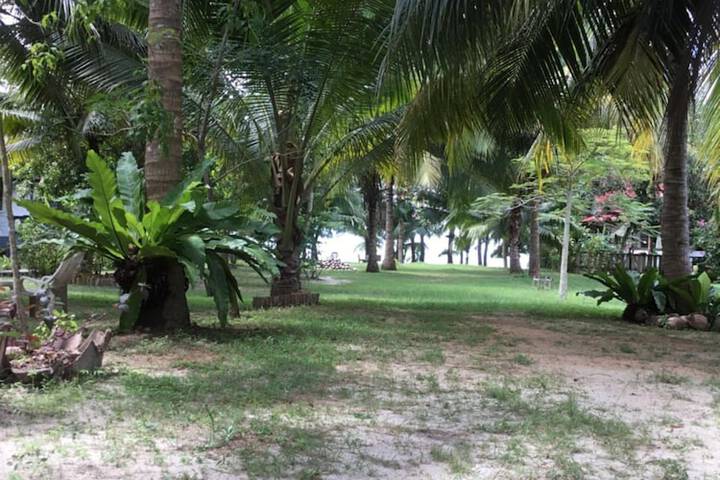 Property Grounds 29 of 55