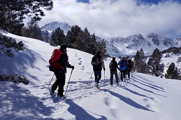 Snowshoeing
