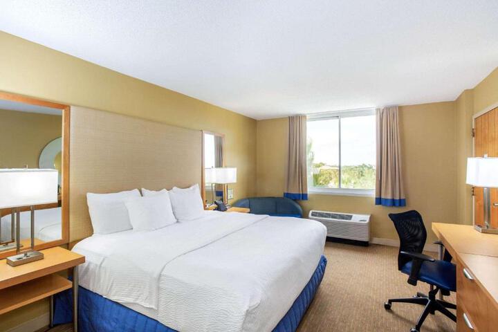 1 King Bed Mobility or Hearing Accessible Room Bathtub with Grab Bars (6 of 15)