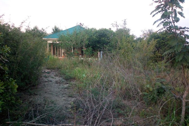 Property Grounds 44 of 58