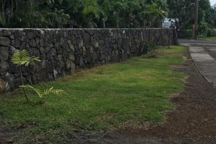 Image of Ohana Hale