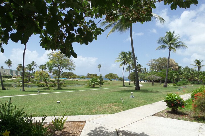 Property Grounds 29 of 56