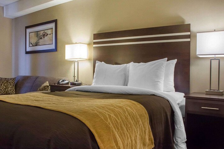 2 Queen Beds (2 of 7)