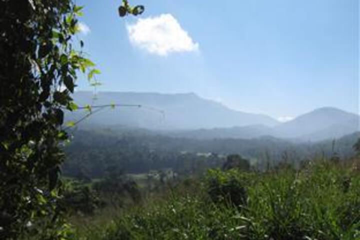 Zenith Home Stay