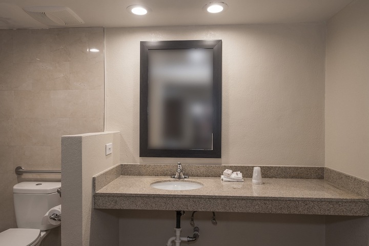 1 Queen Bed Accessible (10 of 13)
