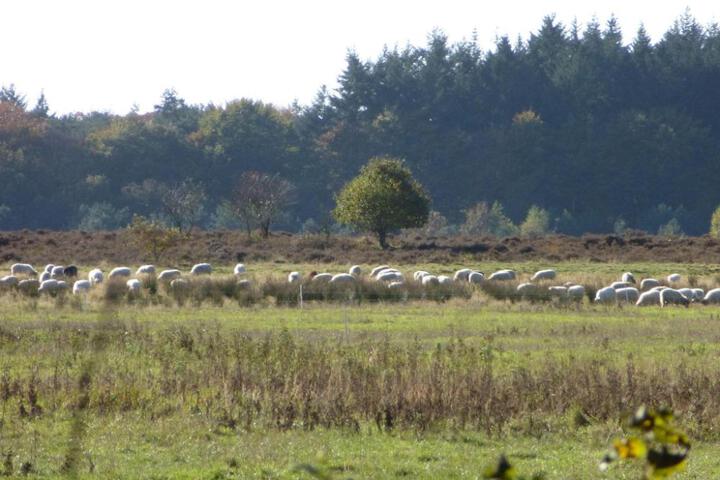 General 42 of 50