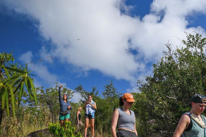 Hiking